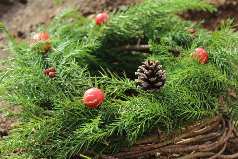 地面に置かれたクリスマスリース